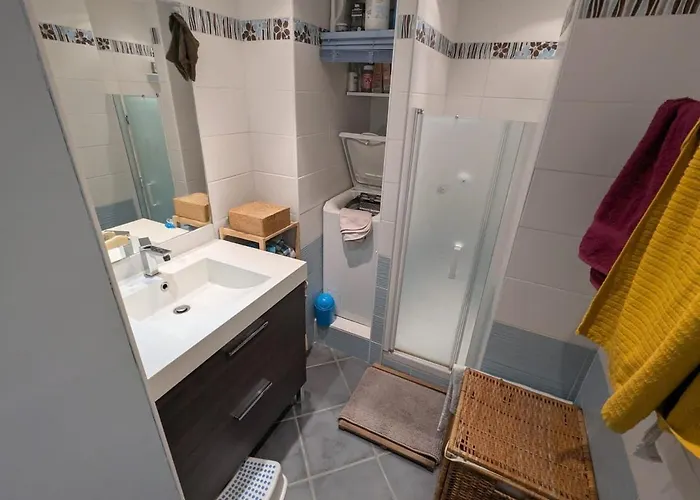 Chaleureuse A L'ile Verte גרנובל